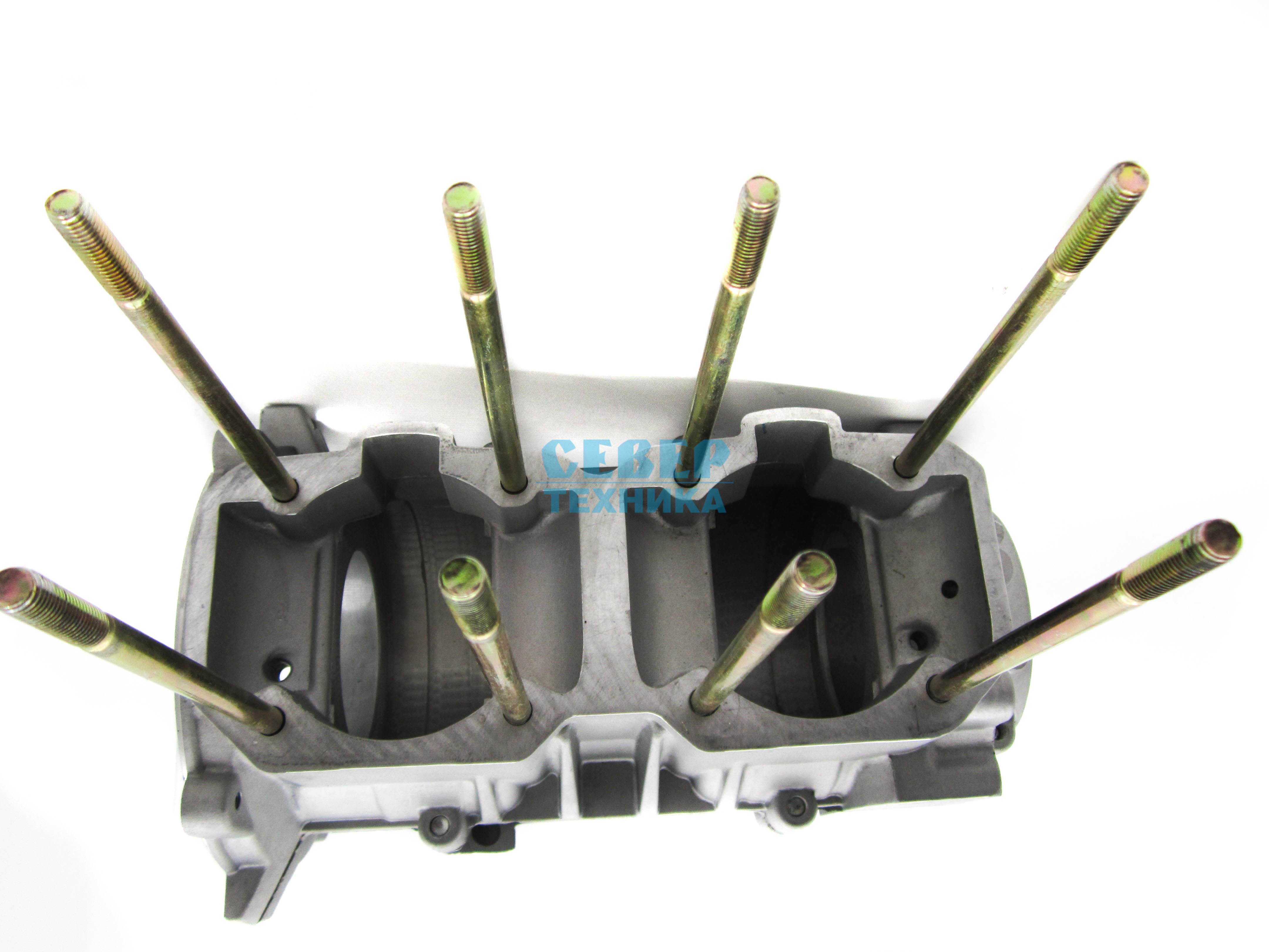 Картер /Тайга 550 RM