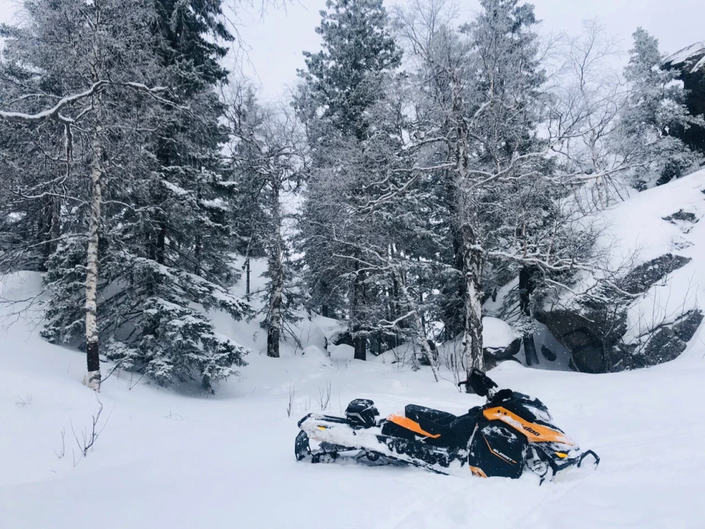 Снегоход заглох в лесу? Как провести экспресс-диагностику и устранить поломку своими руками