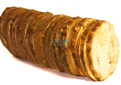 Нож "Лиса" береста, D2 /Златоуст