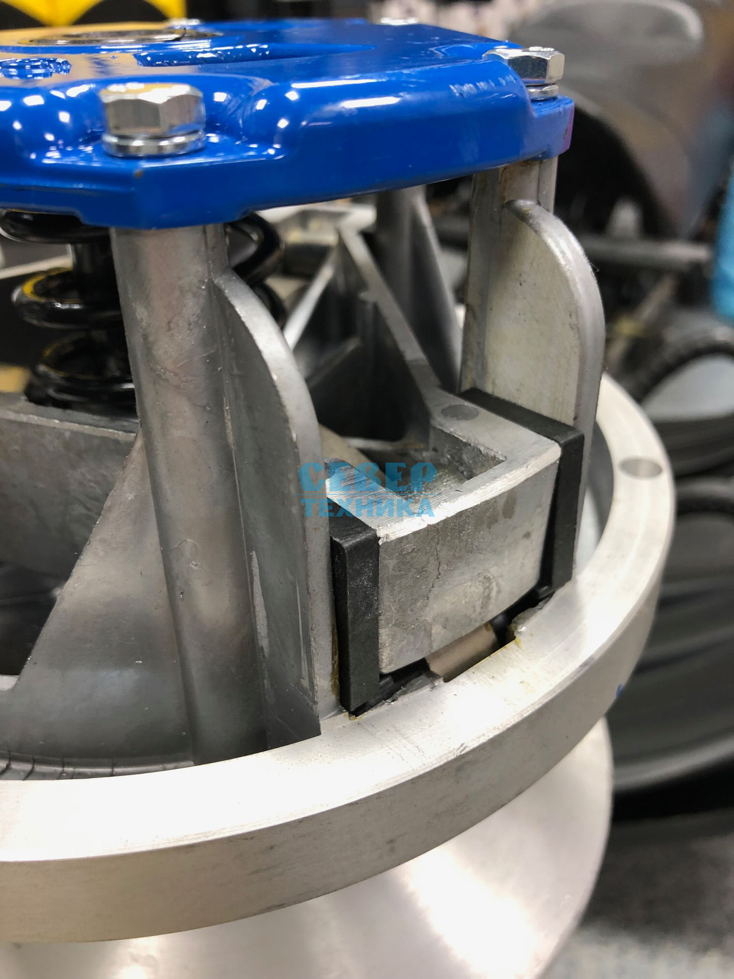 Вариатор Сафари (синий) /Буран