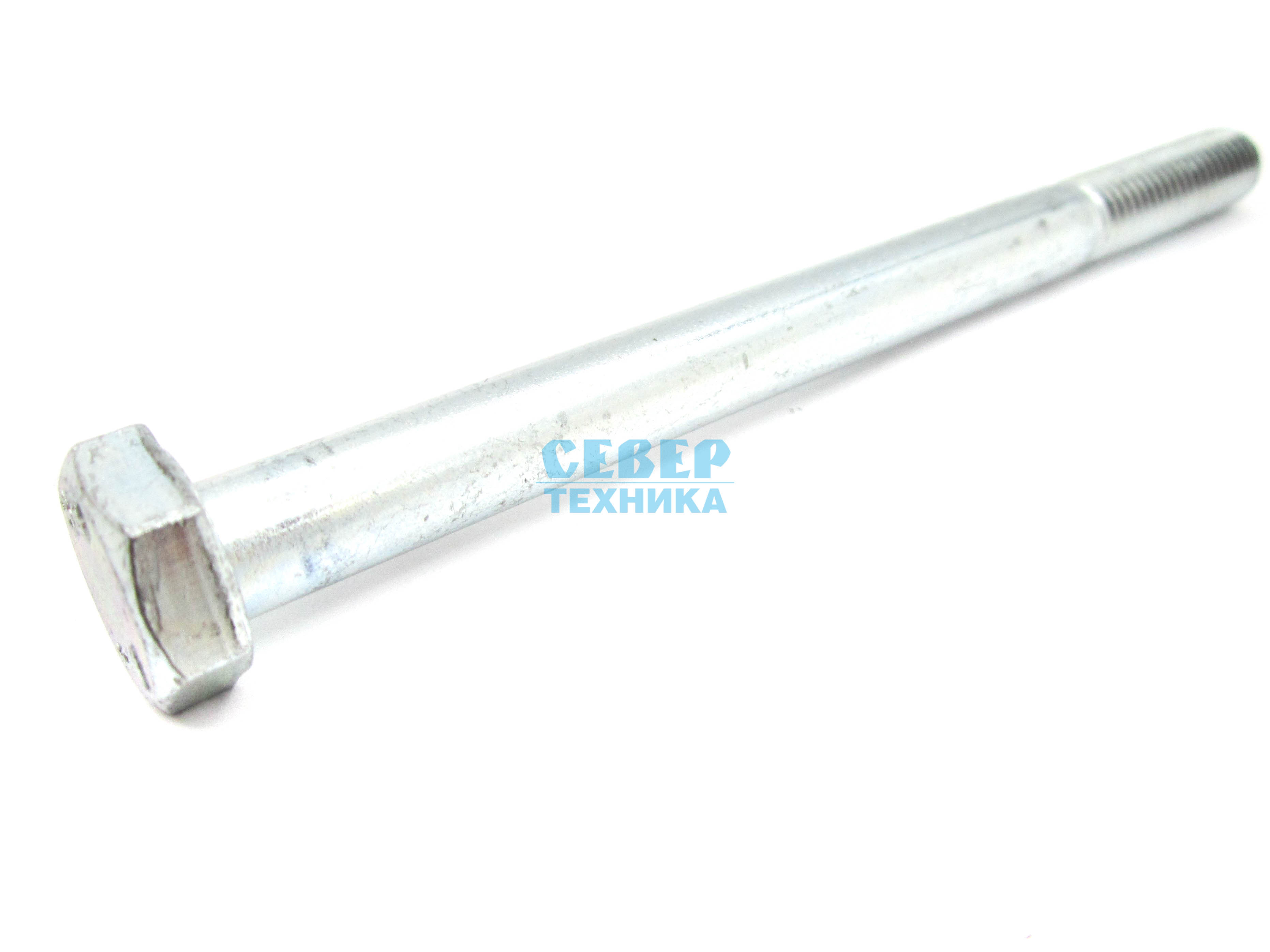 Болт лыжи /Тайга