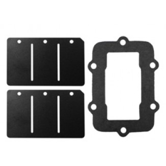 Рем. к-т лепесткового клапана /BRP (Rotax 552, 593 01-19гг)